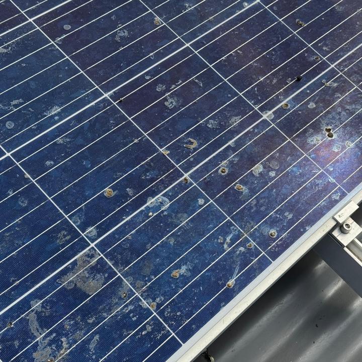 Panel covered in baked-on bird droppings