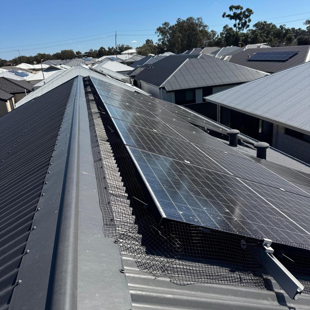 Bird proofing mesh fitted along the edge of a solar array